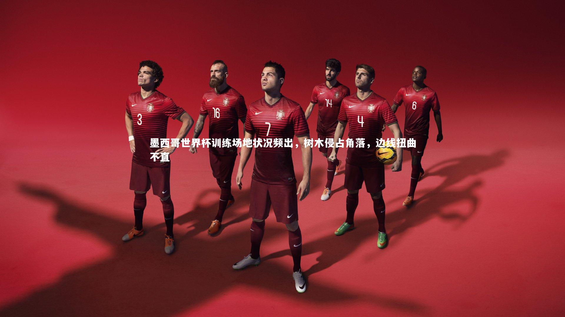 墨西哥世界杯训练场地状况频出,树木侵占角落,边线扭曲不直